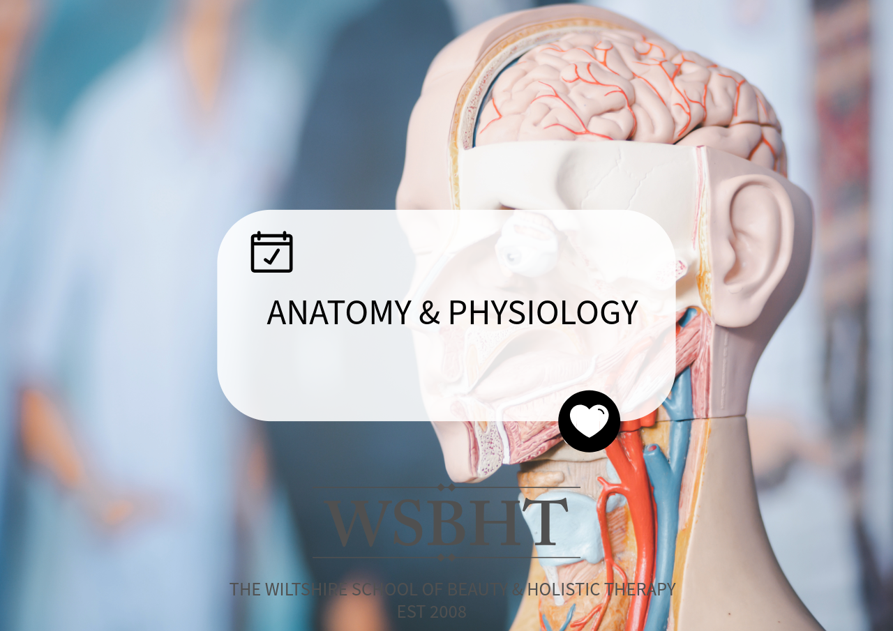 Anatomy and Physiology